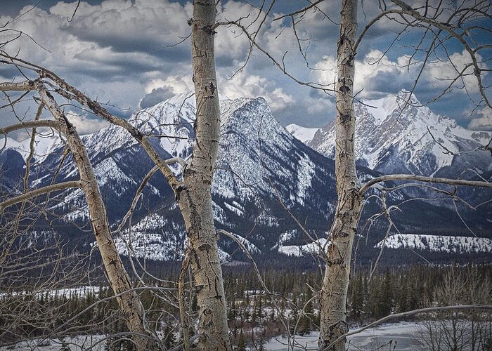 Art Greeting Card featuring the photograph Jasper Mountain Range in December by Randall Nyhof