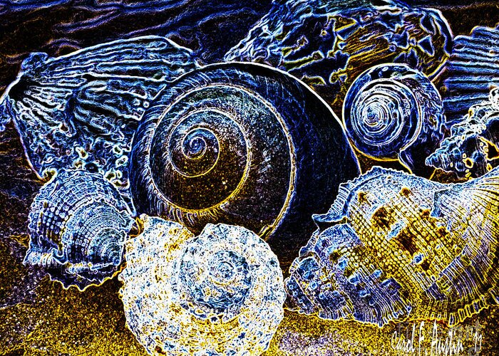 Shells Greeting Card featuring the photograph Seashell Wall Art by Carol F Austin