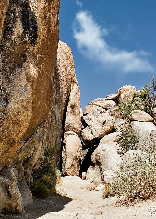 Endre Greeting Card featuring the photograph Joshua Tree Rocks by Endre Balogh
