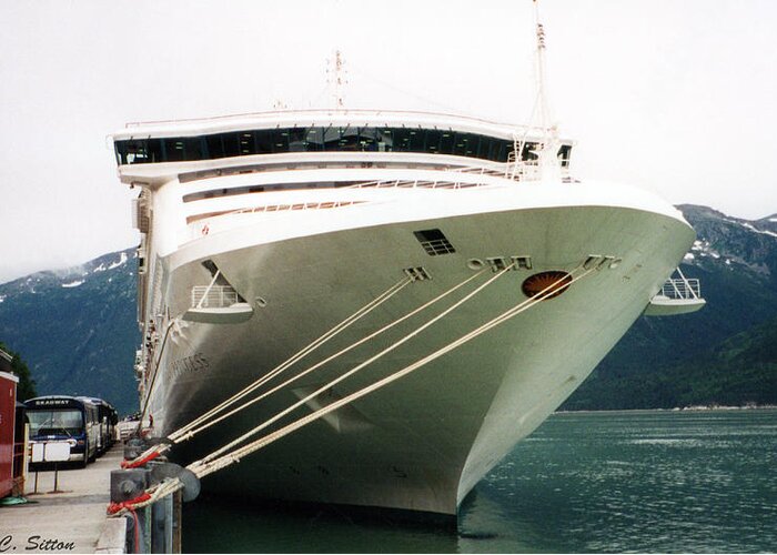 Cruise Photographs Greeting Card featuring the photograph Juneau Princess by C Sitton