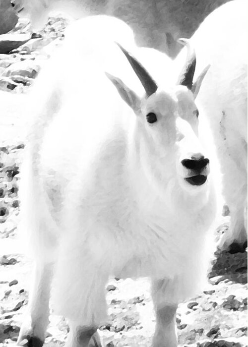 Artbykennedy Greeting Card featuring the digital art Junior Mountain Goat by Bill Kennedy