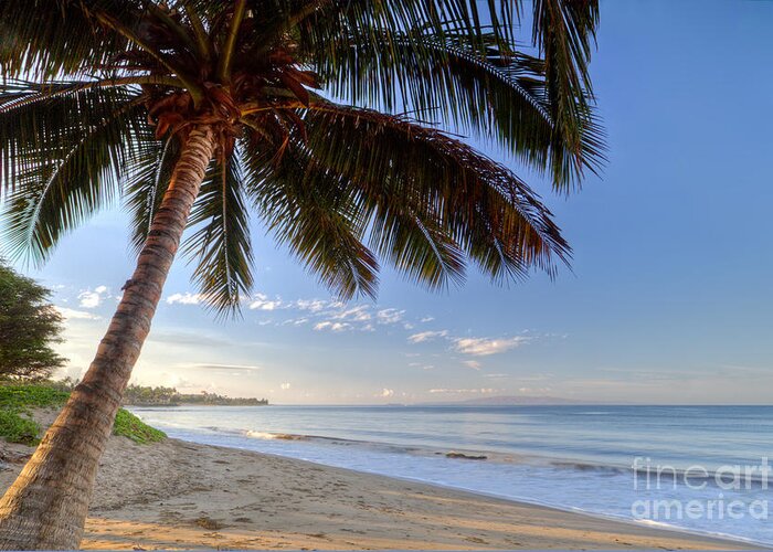 Kihei Sunrise Greeting Card featuring the photograph Kihei Maui Hawaii Sunrise Coconut Palm by Dustin K Ryan