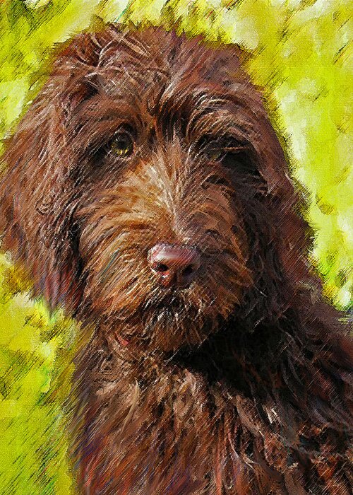 Labradoodle Greeting Card featuring the digital art Labradoodle by Jane Schnetlage