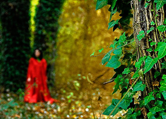 Trees Greeting Card featuring the photograph Lady in red - 8 by Okan YILMAZ