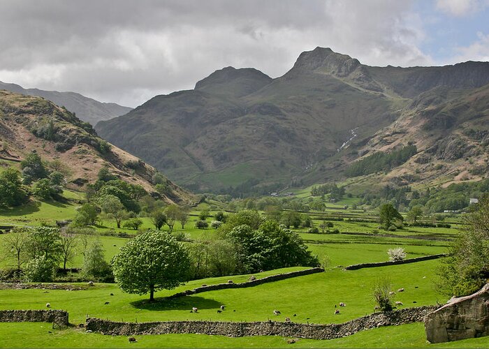 Landscape Greeting Card featuring the photograph Lake District England by Tom and Pat Cory