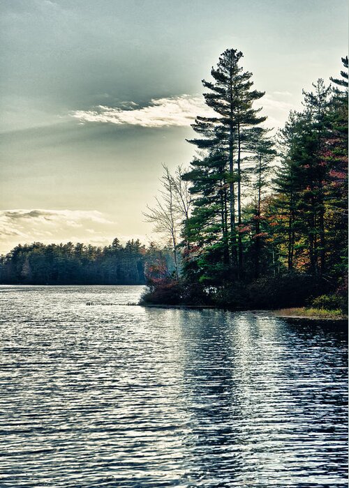 Lake Greeting Card featuring the photograph Lake in NH by Edward Myers