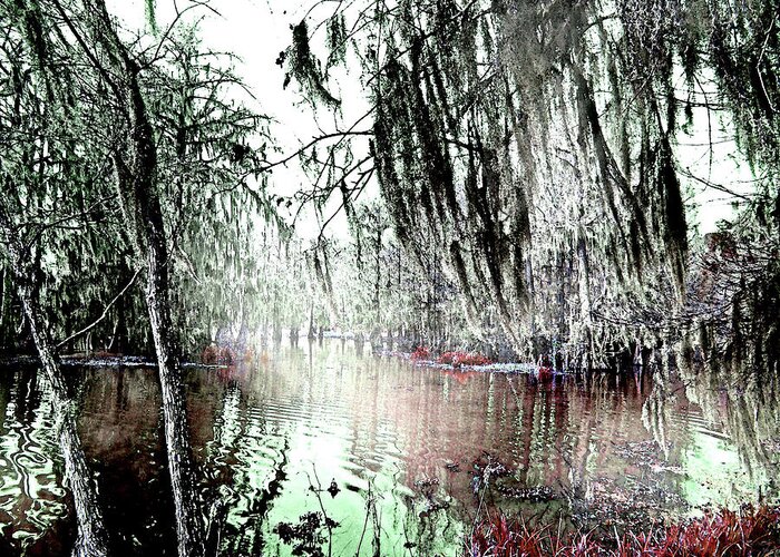 Swamp Greeting Card featuring the photograph Lake Martin Swamp by Lizi Beard-Ward