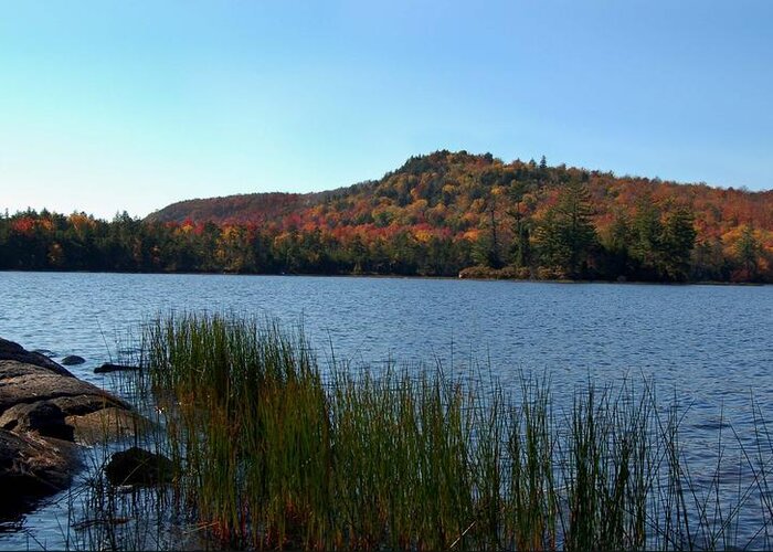 Fall Greeting Card featuring the photograph Late Fall on Lake Lila by Peter DeFina