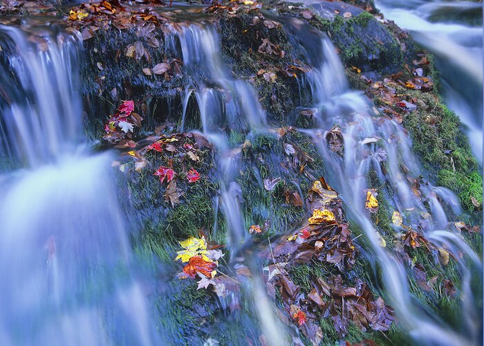 00176881 Greeting Card featuring the photograph Laurel Creek Cascades Great Smoky by Tim Fitzharris