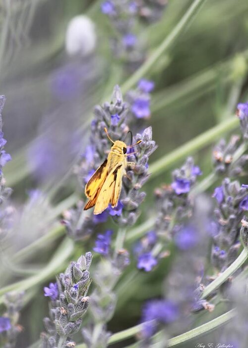 Lavender Greeting Card featuring the photograph Lavender And A Little Bit Of Spice by Amy Gallagher