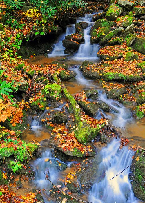 Waterfall Greeting Card featuring the photograph Leaf Falls by Alan Lenk