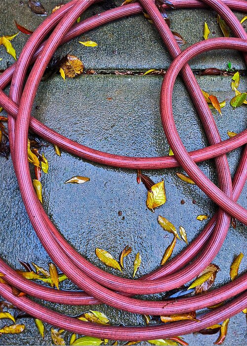 Leaves Greeting Card featuring the photograph Leaves And Hose by Bill Owen