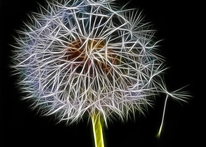 Dandelion Seed Head Flower Single Fractalius Black Leaving Home Greeting Card featuring the photograph Leaving Home 2 by Brian Gunter