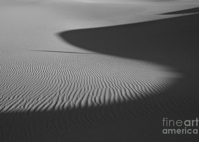 Desert Greeting Card featuring the photograph Light and shade by Olivier Steiner