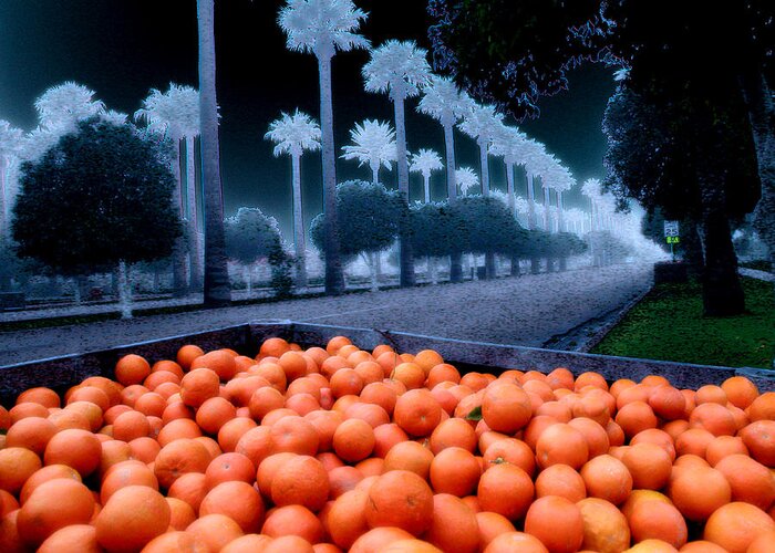 Oranges Greeting Card featuring the photograph Litchfield Park by Jim Painter
