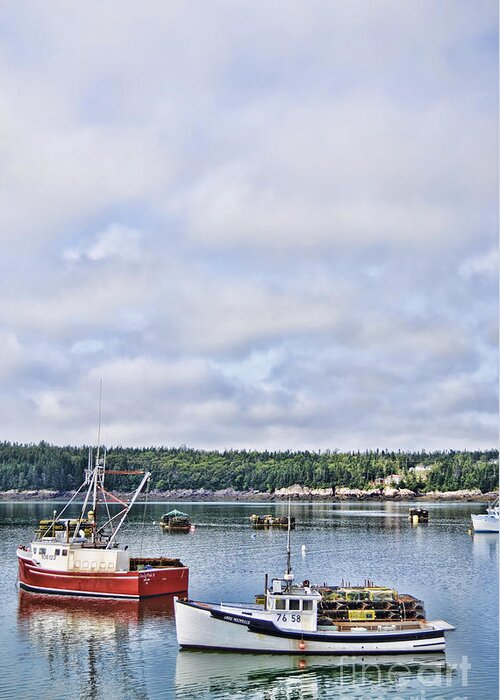 New Brunswick Greeting Card featuring the photograph Lobster Boats by Traci Cottingham