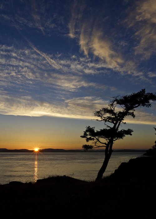 San Juan Islands Greeting Card featuring the photograph Lopez Island Sunset by Tony Locke