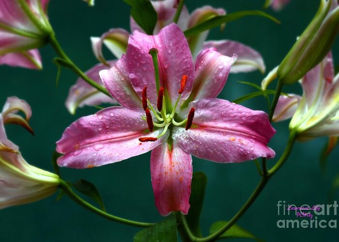 Luxuriant Greeting Card featuring the photograph Luxuriant Lily by Patrick Witz
