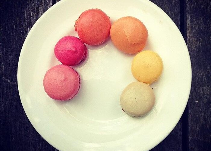 Macaroons Greeting Card featuring the photograph Macaroons by Nic Squirrell