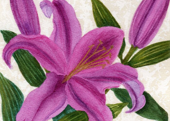 Lily Greeting Card featuring the painting Magenta Lily by Vikki Wicks