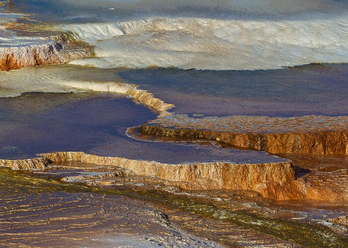 Usa Greeting Card featuring the photograph Mammoth Hot Springs by Johan Elzenga