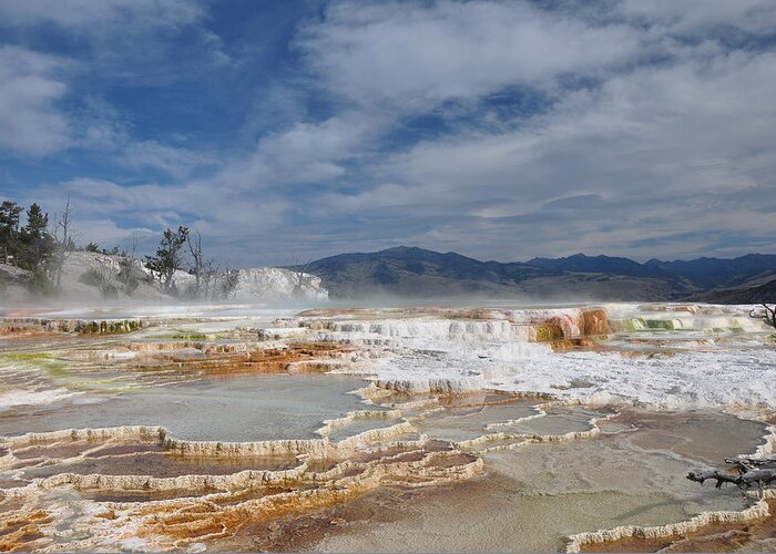 Landscape Greeting Card featuring the photograph Mammoth Hot Springs by Victoria Porter