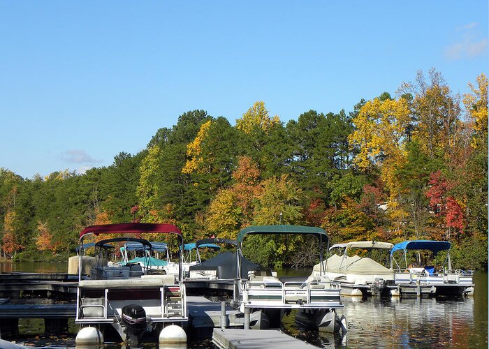 Marina Greeting Card featuring the photograph Marina in Fall by Sandi OReilly