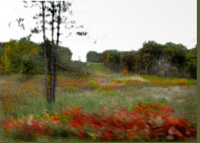  Greeting Card featuring the photograph Meadow by Marilyn Marchant