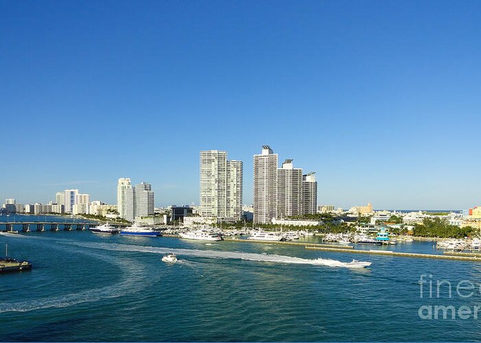 Miami Panorama Greeting Card featuring the photograph Miami skyline by Dejan Jovanovic