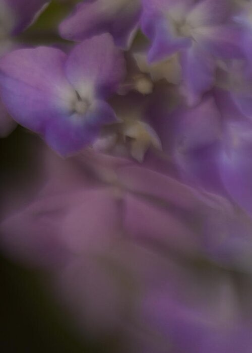 Abstract Greeting Card featuring the photograph Misty Purple by Tony Locke
