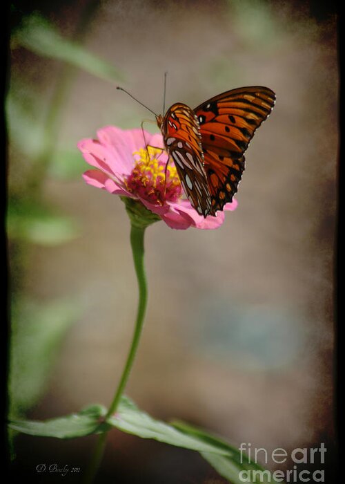 Flowers Greeting Card featuring the photograph Monarch Beauty by Donna Bentley