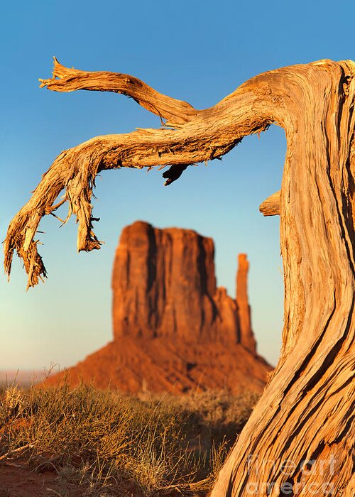 American Greeting Card featuring the photograph Monument Valley by Jane Rix