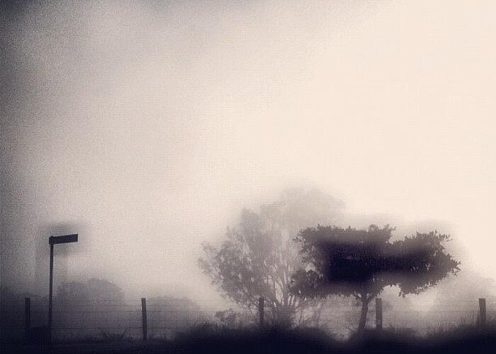 Australia Greeting Card featuring the photograph Morning Fog At Home :) #photooftheday by Luke Fuda