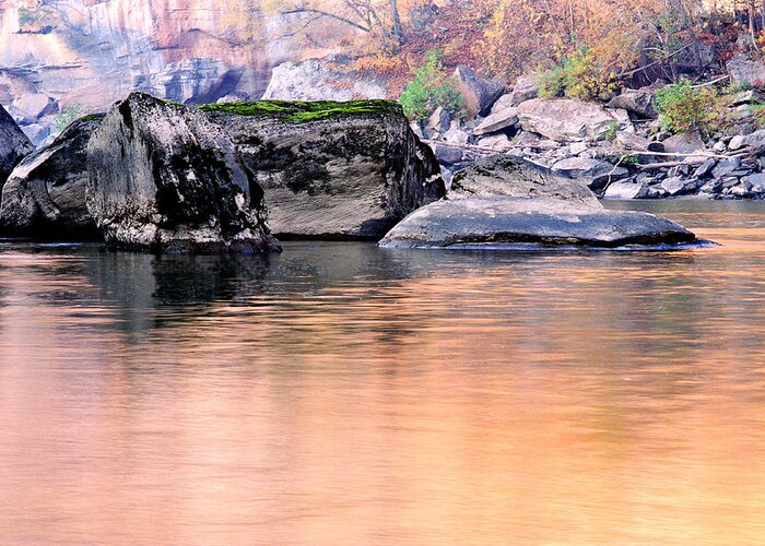Cumberland River Greeting Card featuring the photograph Morning Reflections in the Cumberland River by Greg Matchick