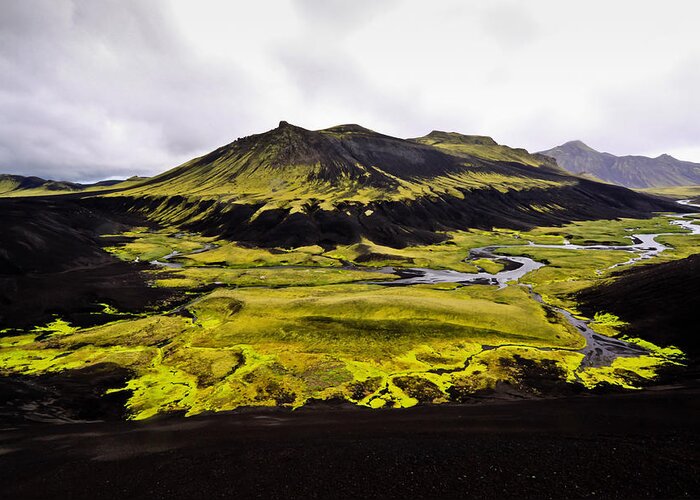 Moss Greeting Card featuring the photograph Moss in Iceland by Tom and Pat Cory