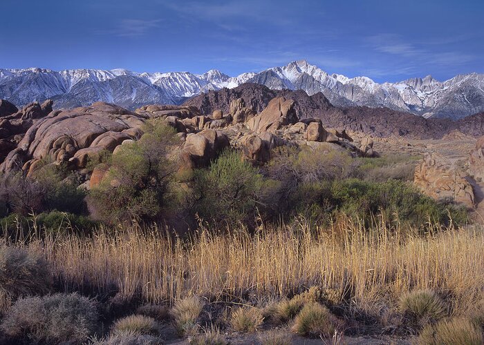 00176782 Greeting Card featuring the photograph Mount Whitney And The Sierra Nevada by Tim Fitzharris