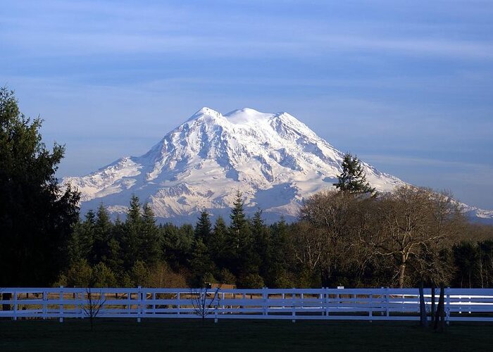 Cattle Greeting Card featuring the photograph MT. Rainier Fenced In by Rob Green