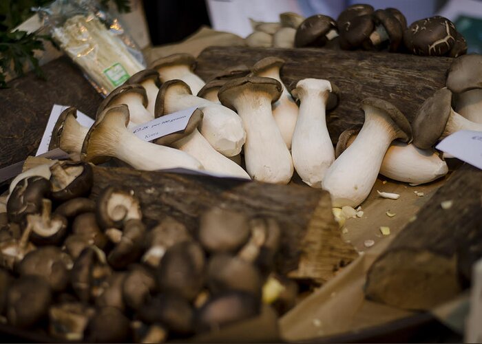 Mushroom Greeting Card featuring the photograph Mushrooms at the Market by Heather Applegate