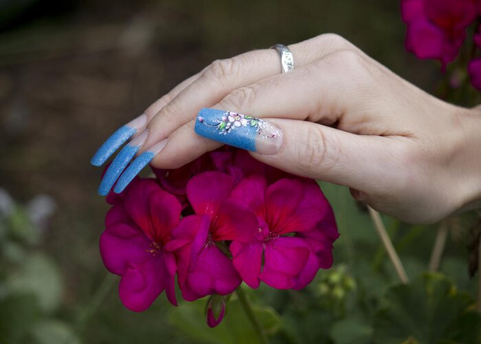 Landscape Greeting Card featuring the photograph Nails and Geranium by Donna L Munro