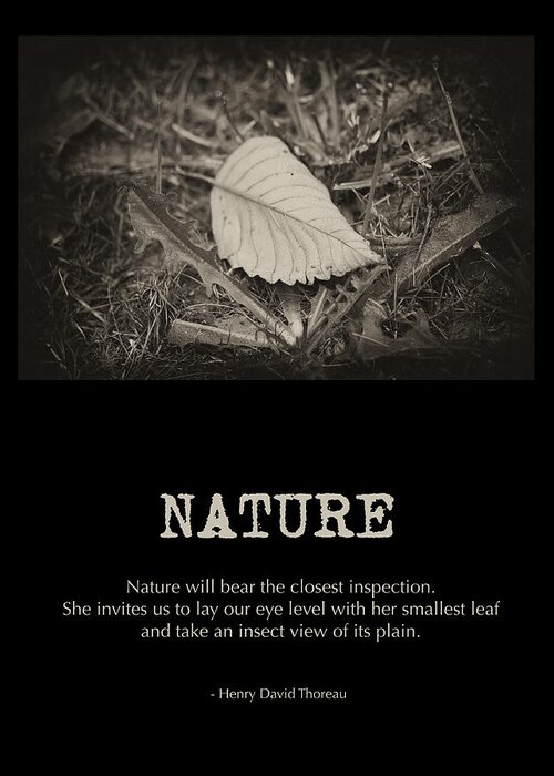 Poster Art Greeting Card featuring the photograph Nature by Bonnie Bruno
