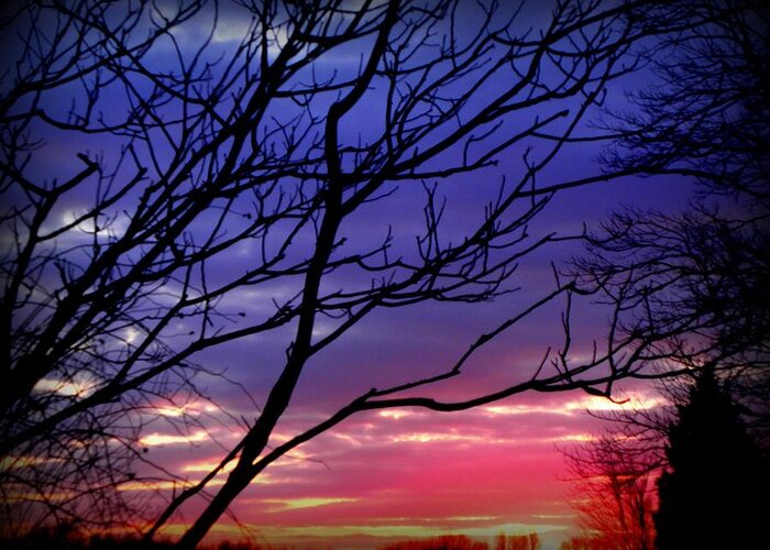 Sunset Greeting Card featuring the photograph Natures Painting by Kim Galluzzo