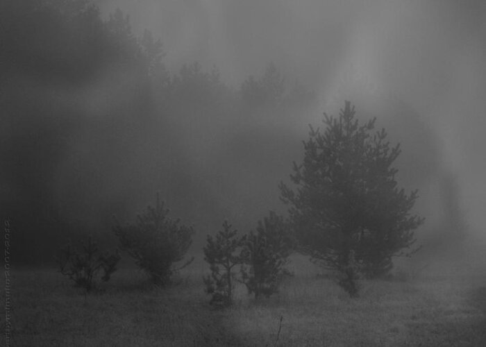 Fog Greeting Card featuring the photograph Nebelbild 12 - Fog Image 12 by Mimulux Patricia No