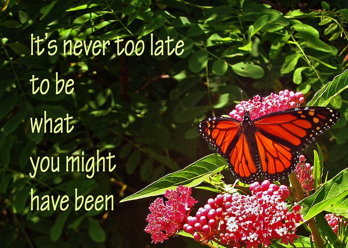 Butterfly Greeting Card featuring the photograph Never Too Late by Rebecca Samler