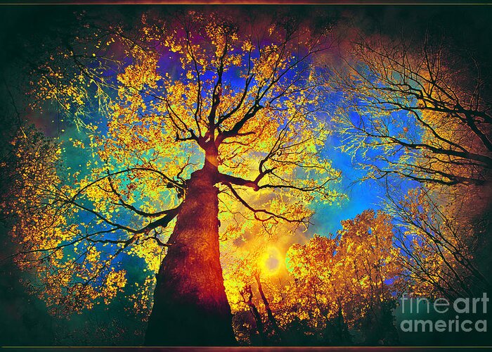 Autumn Sky Greeting Card featuring the photograph Night sky splendor by Gina Signore