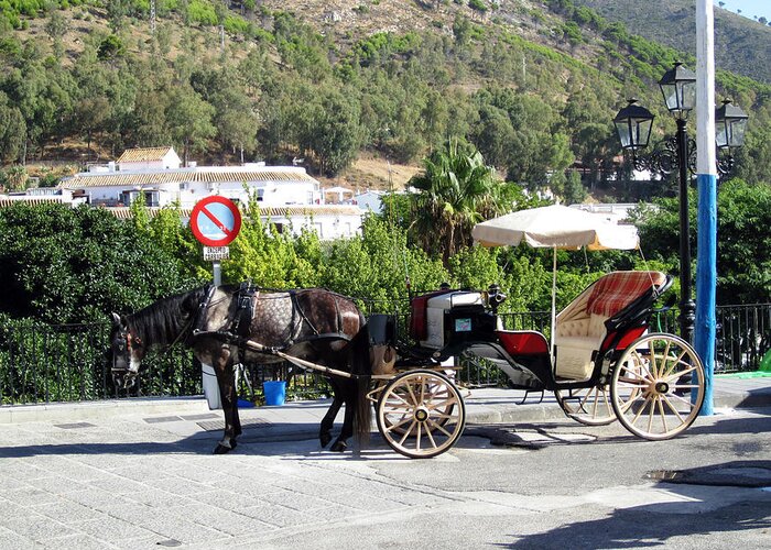 Horse Greeting Card featuring the photograph No Parking Except Horse Carriage Mijas Spain by John Shiron
