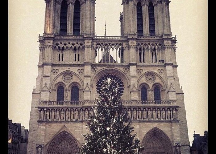 Navidad Greeting Card featuring the photograph Notre Dame @ Christmas by Quique Alicante