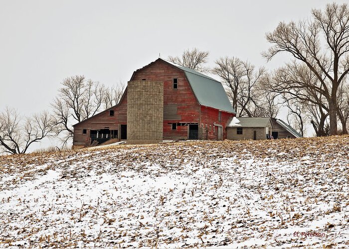 Barns Greeting Card featuring the photograph Old Red Barn by Ed Peterson