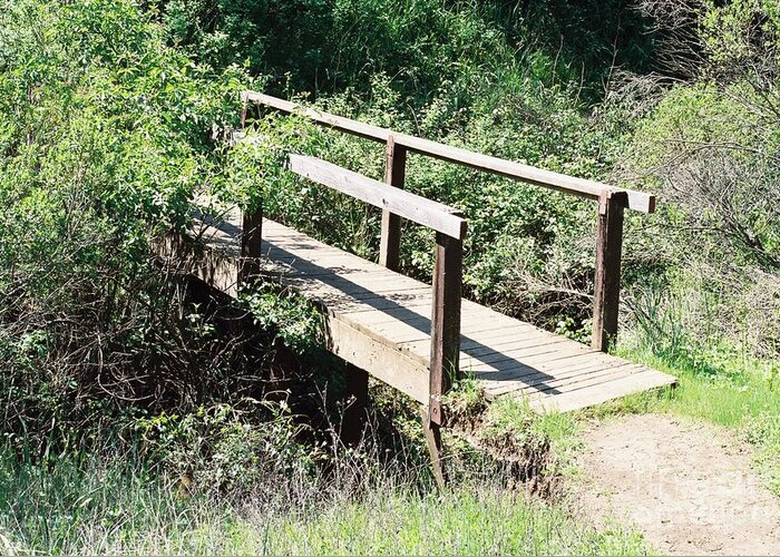 Footbridge Greeting Card featuring the photograph Old wooden foot bridge by Anthony Trillo