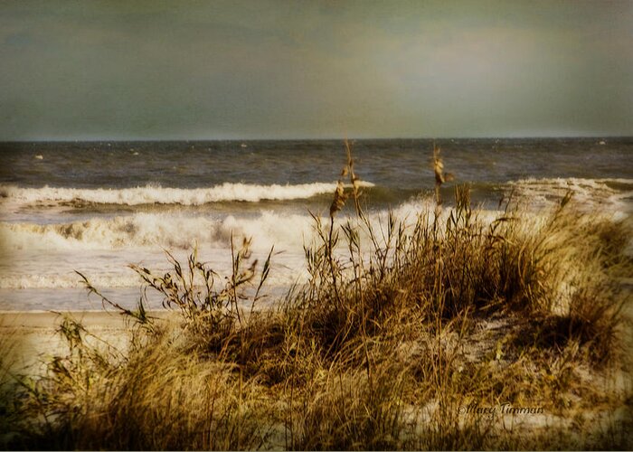 Water Greeting Card featuring the photograph On the Beach by Mary Timman