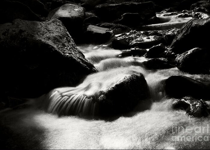 Smoky Mountains Greeting Card featuring the photograph On the Rocks by Dennis Hedberg
